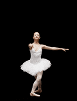 Loop Ballet GIF