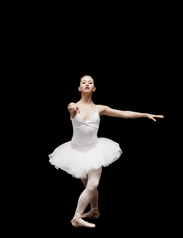 Loop Ballet GIF - Find & Share on GIPHY