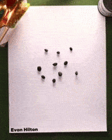 Green Apple GIF by Evan Hilton