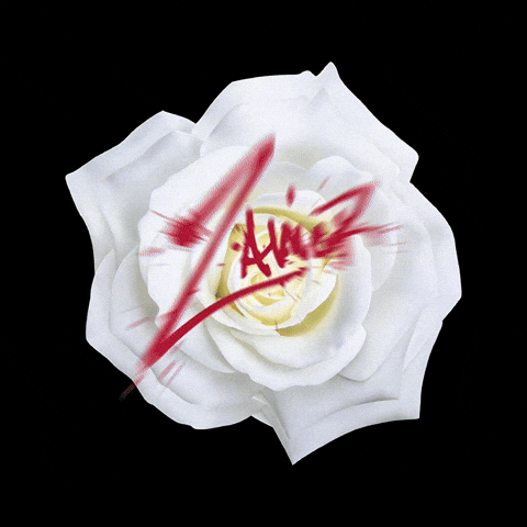 Zavier Whiteroses GIF by Fetty Wap