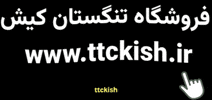 Ttckish GIF