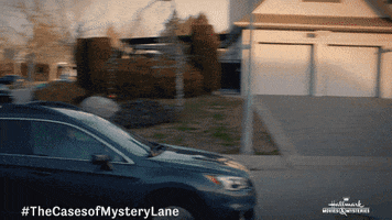 Sign Street GIF by Hallmark Movies & Mysteries