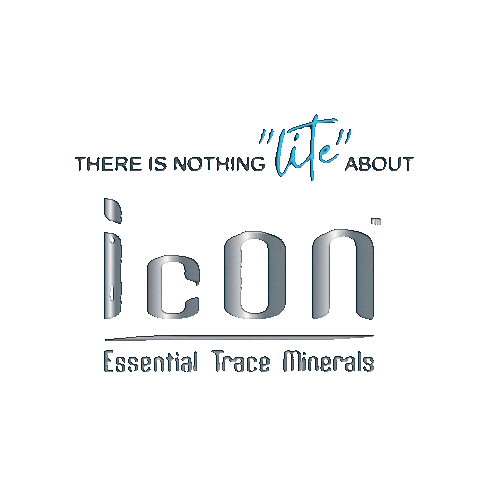 SONIC ESSENTIALS Sticker