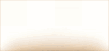 Bird Feathers GIF