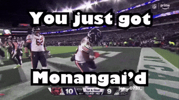 Chicago Bears Football GIF