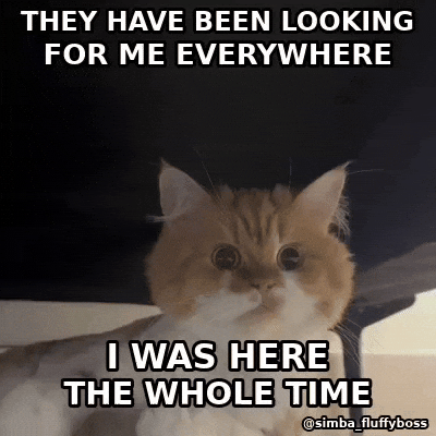 Reaction Gif GIF