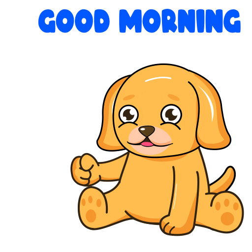 Good Morning Hello GIF by MyMorningDog