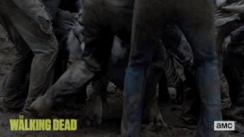 twd GIF by The Walking Dead
