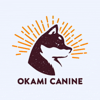Okami GIF by Gonz