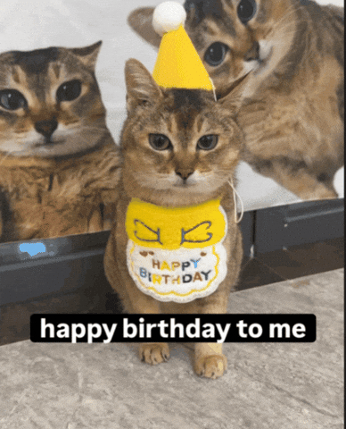 Happy Birthday GIF