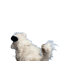 REDefine México Sticker