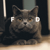 Food Reaction GIF by Diamond Pet Foods