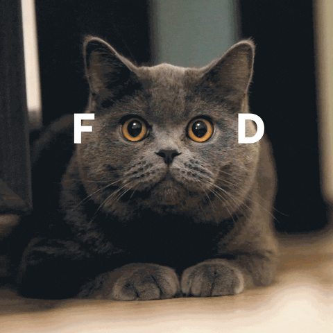 Food Reaction GIF by Diamond Pet Foods