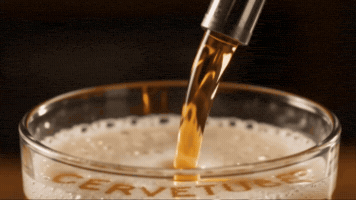 Cerveza GIF by gentedealicante
