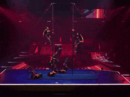 Circus Performer GIF by Ringling Bros. and Barnum & Bailey