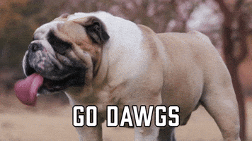 College Football Sport GIF by Sealed With A GIF
