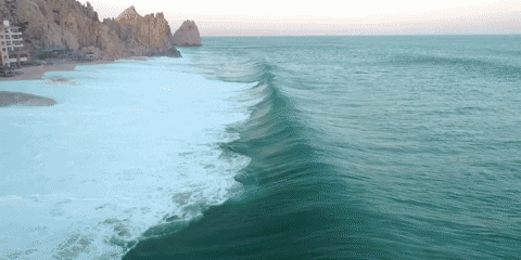 Animated GIF - Find & Share on GIPHY