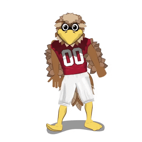 Atlanta Falcons Dance GIF by Wells Fargo