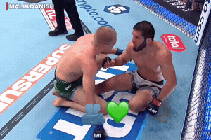 Islam Makhachev Ufc GIF