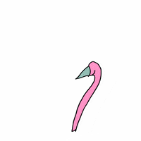 Deadly Flamingo GIF by Jeremy Speed Schwartz