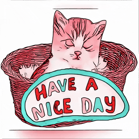 Good Morning Cat GIF by The3Flamingos