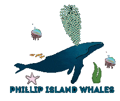 Whales Sticker by Visit Phillip Island
