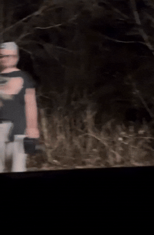 Aldo Driving GIF by aldo2swag