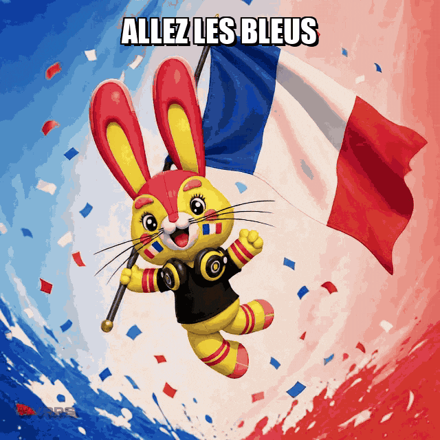 France Football GIF by WVRPS