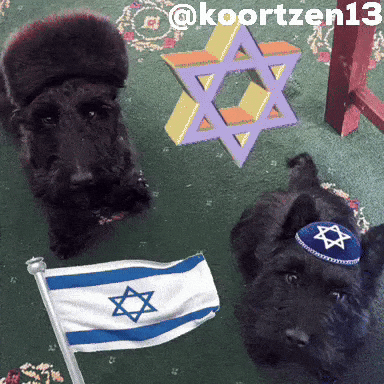 Jewish GIF