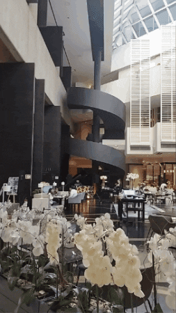 Brunch GIF