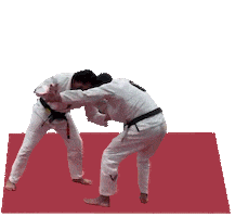 Judo Jiujitsu Sticker by Virtue BJJ