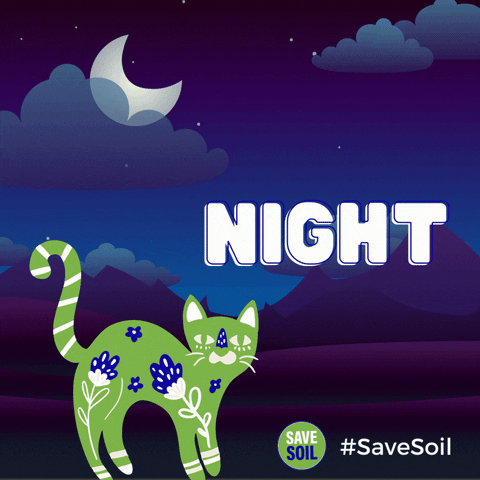 Good Night Cat GIF by Conscious Planet - Save Soil