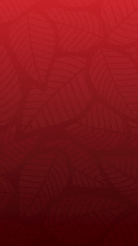 Roof GIF by Chaparosa Roofing