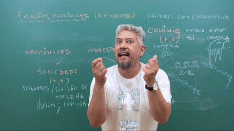 Qual foi a melhor coisa que alguma vez encontraste na rua