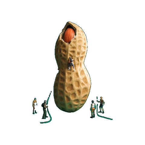 Peanut Butter Nuts Sticker by USA Peanuts