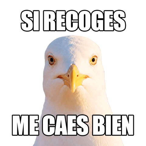 Proyectolibera Sticker by ecoembes