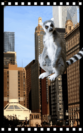 Ds106 GIF