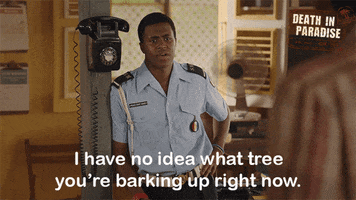 Confused Barking Up The Wrong Tree GIF by Death In Paradise