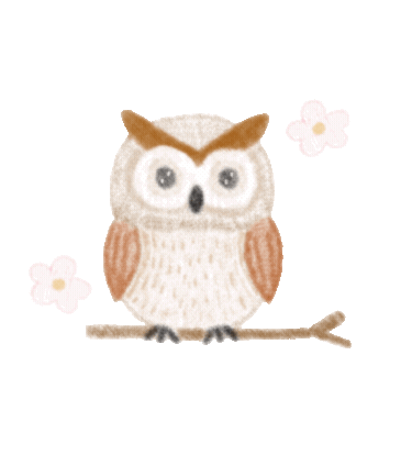 Flower Owl Sticker