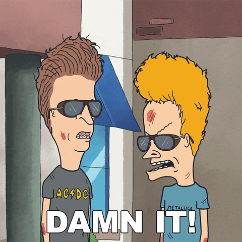Damn It Beavis And Butthead GIF by Paramount+