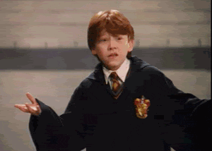 Harry Potter What GIF - Find & Share on GIPHY