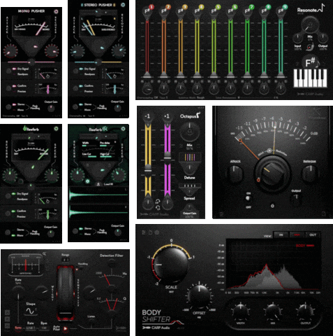 Audio Plugin GIF by CARP Audio