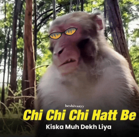 Beshivaayy GIF
