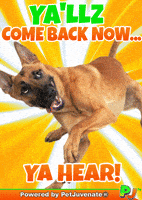 Henlo Hooman Fren GIF by PetJuvenate - PJ