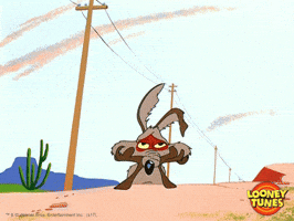 sad wile e coyote GIF by Looney Tunes