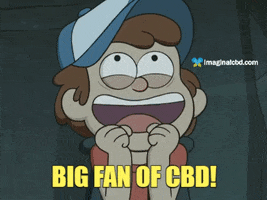 Excited Gravity Falls GIF by Imaginal Biotech