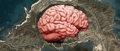 Mt Chiliad Brain GIF