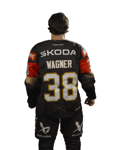 Ice Hockey Sticker by deb_teams