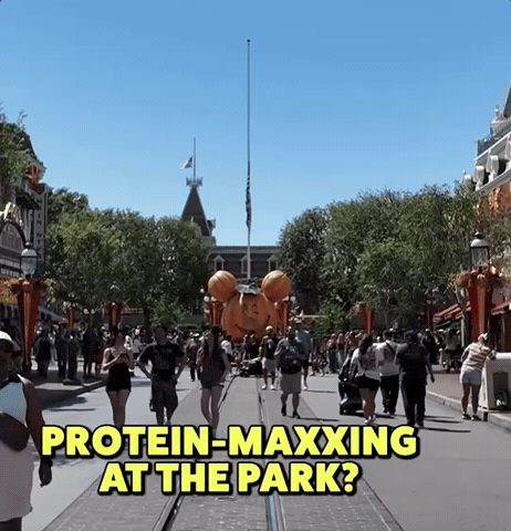 Theme Park Disney GIF