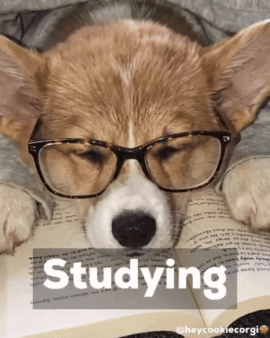Tired Wake Up GIF